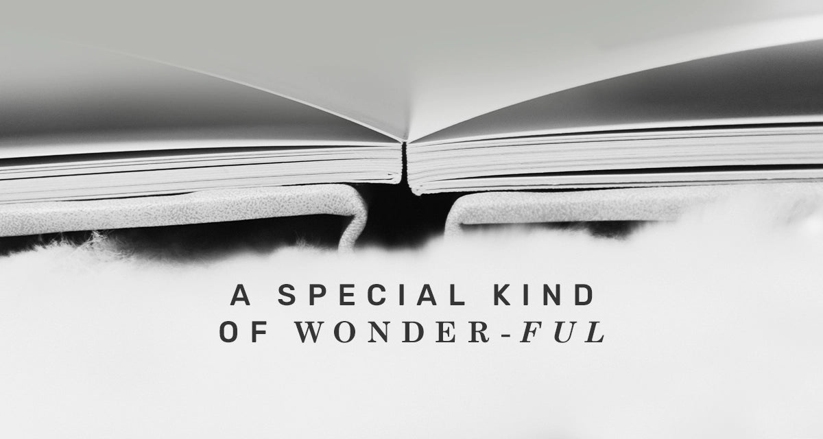 a special kind of wonderful